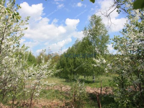 derevnya-kishkino-pavlovskiy-municipalnyy-okrug фото