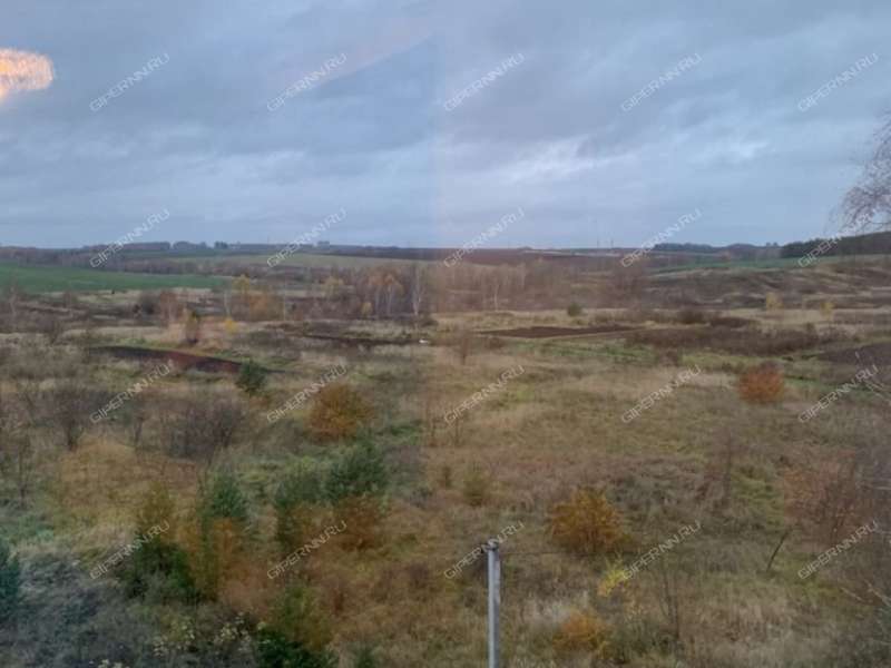 трёхкомнатная квартира на улице Гагарина дом 16 город Ворсма