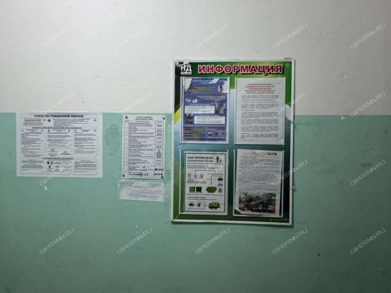 трёхкомнатная квартира на улице Сазанова дом 1