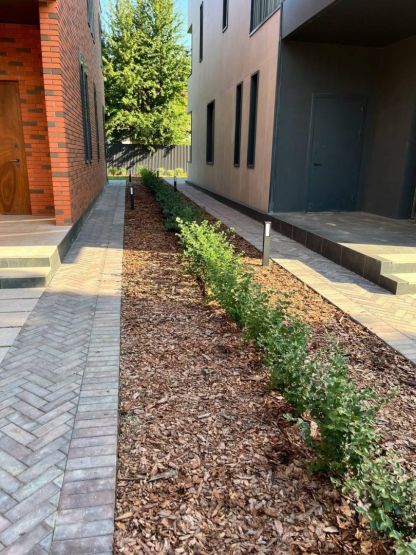 Фото: Анастасия Елина / gipernn.ru