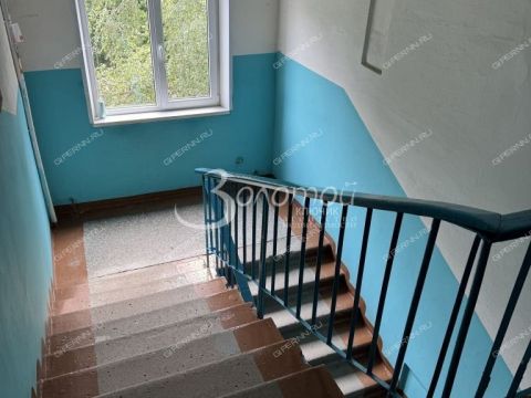 1-komnatnaya-sh-yuzhnoe-d-24a фото