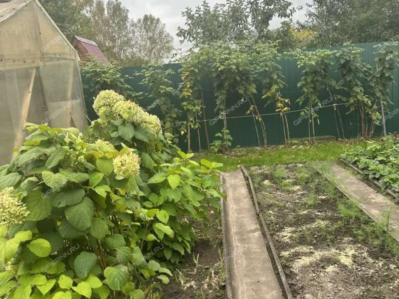 дом на Центральной улице село Лакша