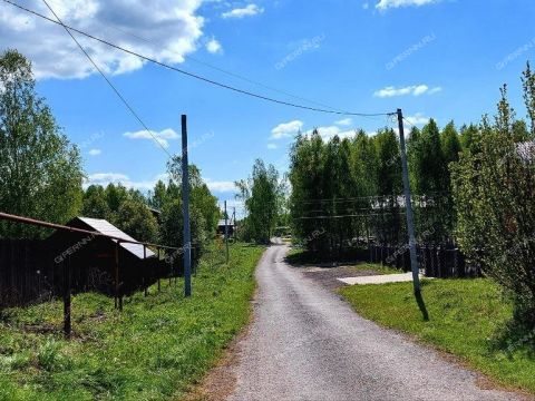 derevnya-berezovka-bogorodskiy-municipalnyy-okrug фото