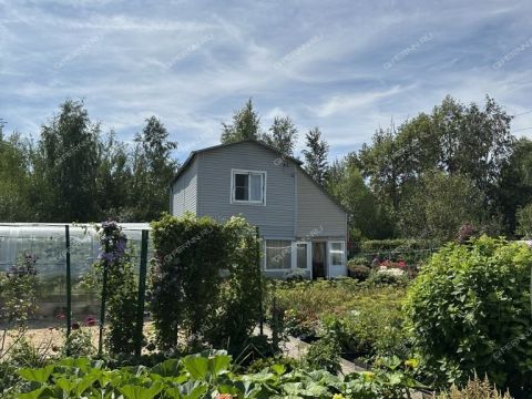 dacha-snt-nadezhda фото