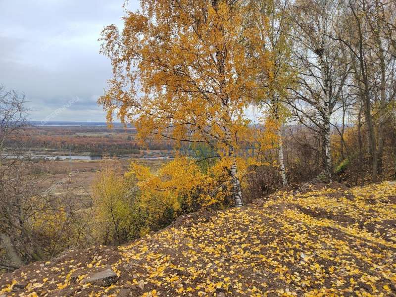 дом на Магистральной улице деревня Афонино