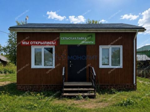 derevnya-lapshiha-dalnekonstantinovskiy-rayon фото