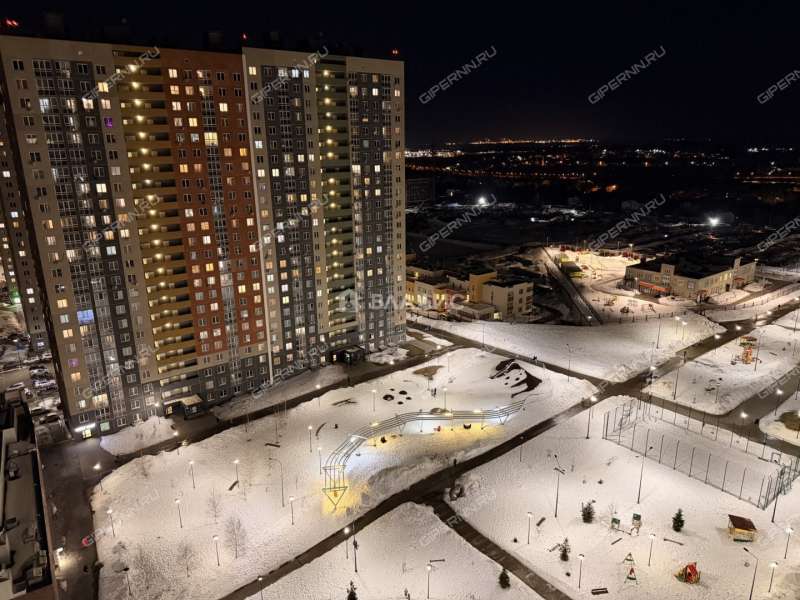однокомнатная квартира на Русской улице улице дом 4 деревня Анкудиновка