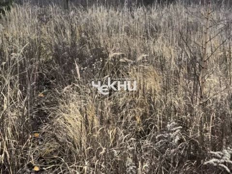 selo-bezvodnoe-kstovskiy-rayon фото