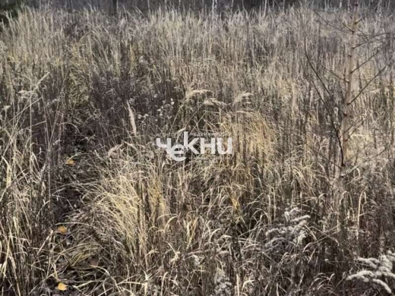 земельный участок 16 соток село Безводное