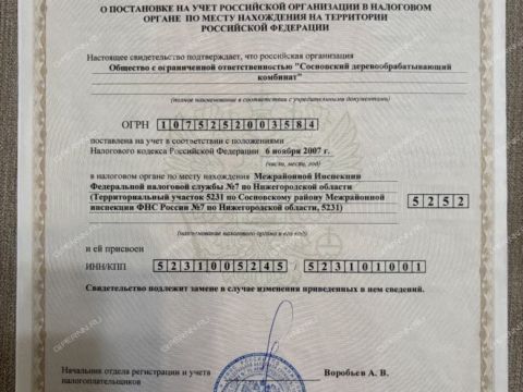 rabochiy-poselok-sosnovskoe-sosnovskiy-rayon фото