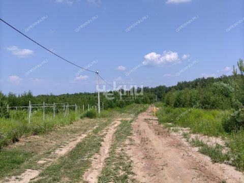 selo-afanasevo-bogorodskiy-municipalnyy-okrug фото