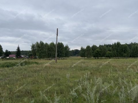 dom-derevnya-zhukovka-ppk-selsovet-gorodskoy-okrug-bor фото