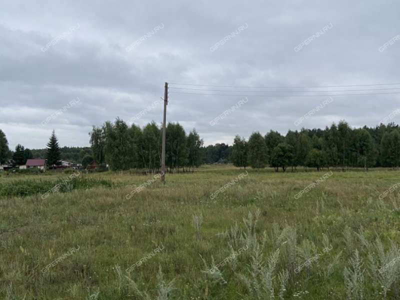 дом на Пушкина ул. деревня Жуковка (ППК сельсовет