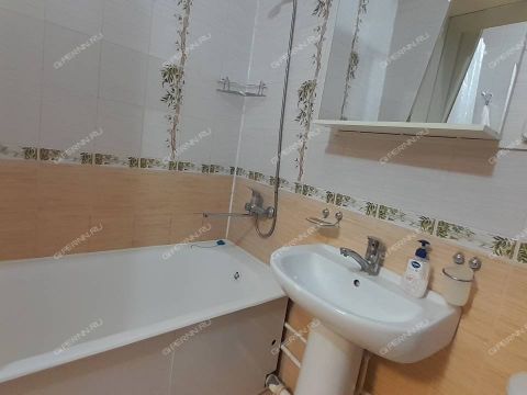 1-komnatnaya-ul-nizhne-pecherskaya-d-15 фото