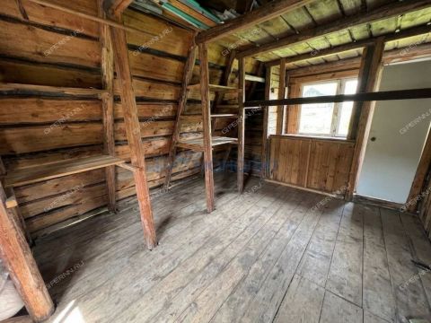 sad-berezhok-derevnya-shoniha-ter-snt-bogorodskiy-municipalnyy-okrug фото