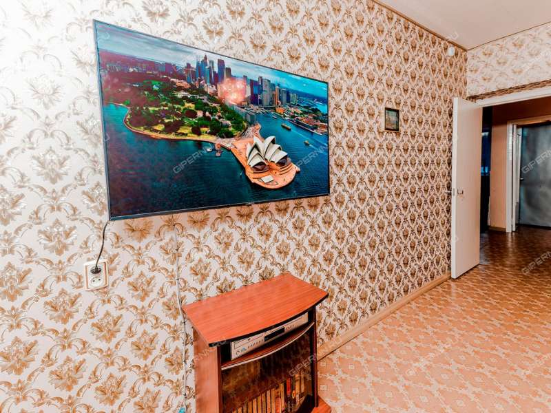 трёхкомнатная квартира на Центральной улице дом 41 посёлок Селекционной станции