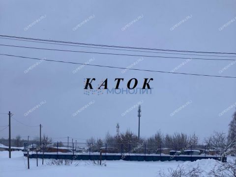 1-komnatnaya-derevnya-berezovka-bogorodskiy-municipalnyy-okrug фото