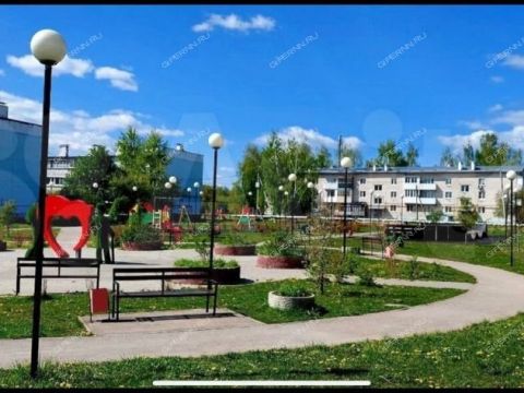 derevnya-berezovka-bogorodskiy-municipalnyy-okrug фото