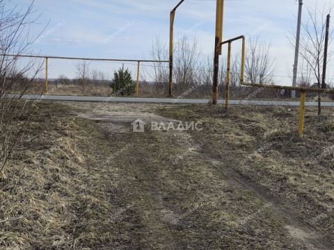 derevnya-krashovo-bogorodskiy-municipalnyy-okrug фото