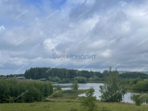 selo-arapovo-bogorodskiy-municipalnyy-okrug фото