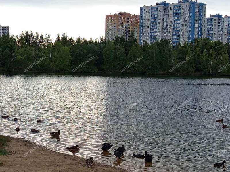 двухкомнатная квартира на улице Старых Производственников дом 10