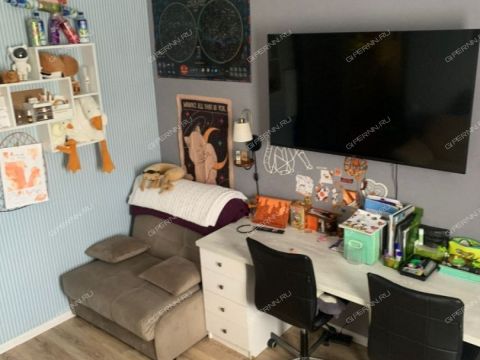 dom-selo-borkovka-gorodskoy-okrug-vyksa фото