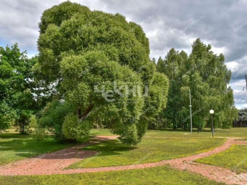 коттедж на улице Лесная село Останкино
