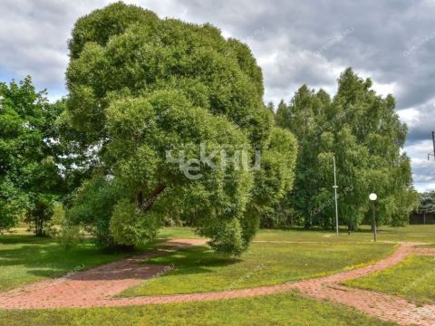 kottedzh-selo-ostankino-gorodskoy-okrug-bor фото