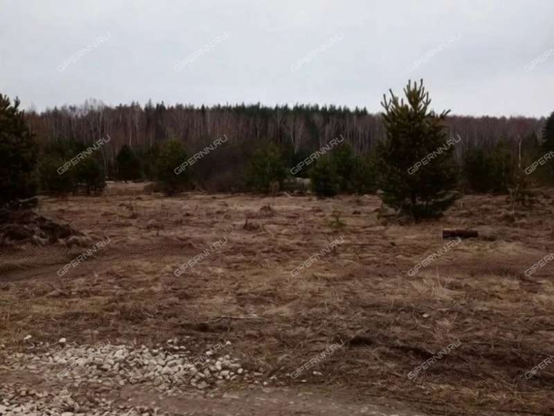 земельный участок под коттеджный посёлок в Богородском районе Нижегородской области