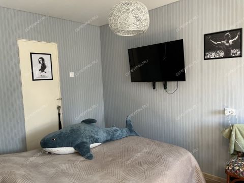 2-komnatnaya-ul-avtomehanicheskaya-d-14 фото