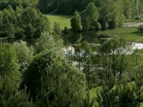 derevnya-krivaya-sheloksha-kstovskiy-rayon фото