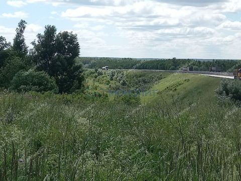 derevnya-krutec-doskinskiy-selsovet-bogorodskiy-municipalnyy-okrug фото