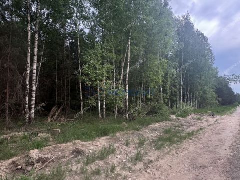 derevnya-nepecino-bogorodskiy-municipalnyy-okrug фото