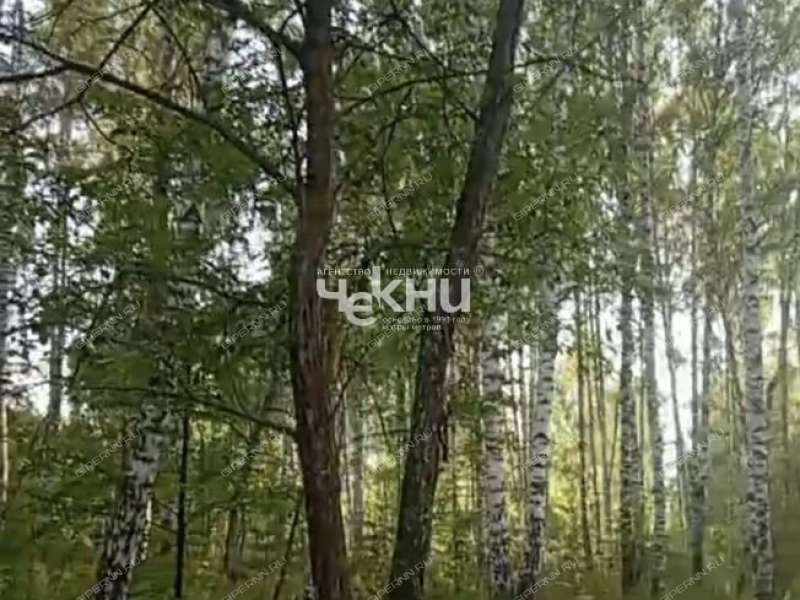 земельный участок 100 соток деревня Досадино