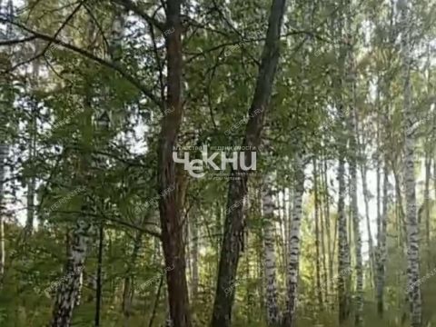 derevnya-dosadino-vadskiy-municipalnyy-okrug фото