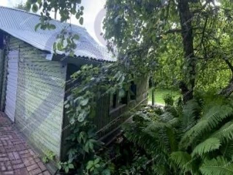 dacha-derevnya-trestyany-bogorodskiy-municipalnyy-okrug фото