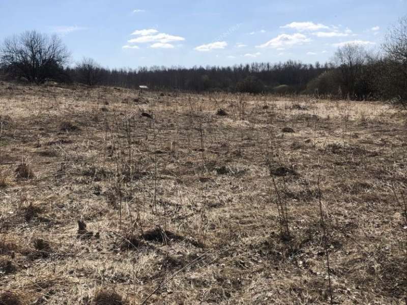 земельный участок 20 соток Горная улица село Афанасьево