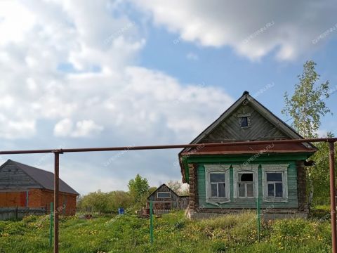 dom-selo-shpilevo-perevozskiy-gorodskoy-okrug фото