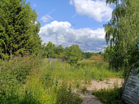 dom-selo-muraviha-dalnekonstantinovskiy-rayon фото