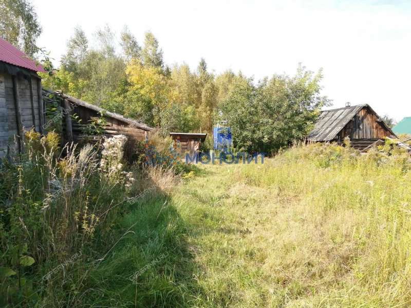 дом на - деревня Комарово