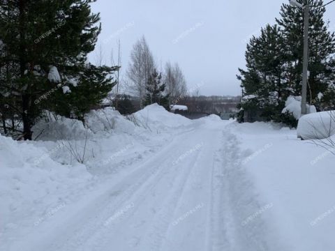 selo-arapovo-bogorodskiy-municipalnyy-okrug фото