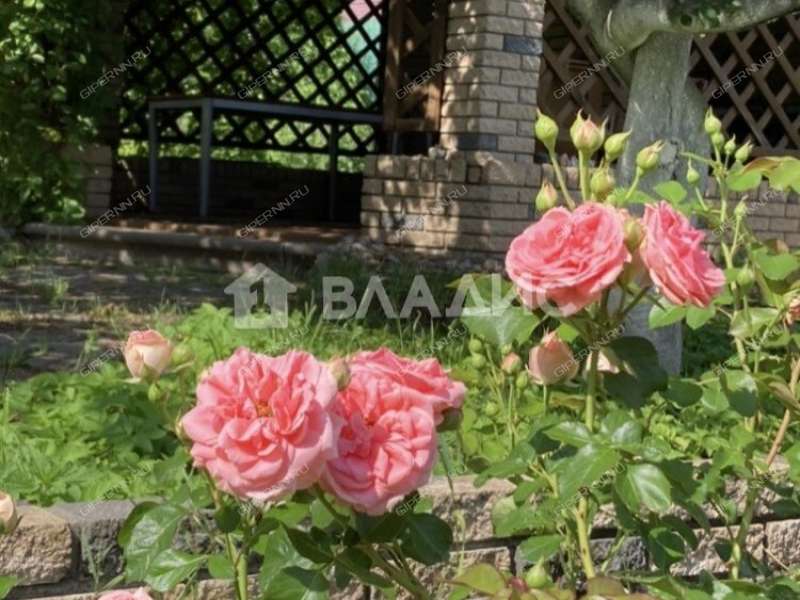 дом на 13 деревня Ройка