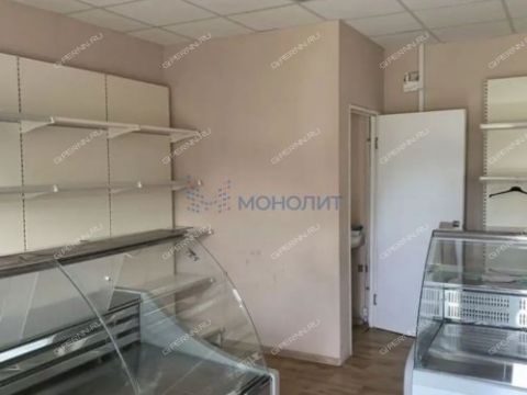 derevnya-lapshiha-dalnekonstantinovskiy-rayon фото