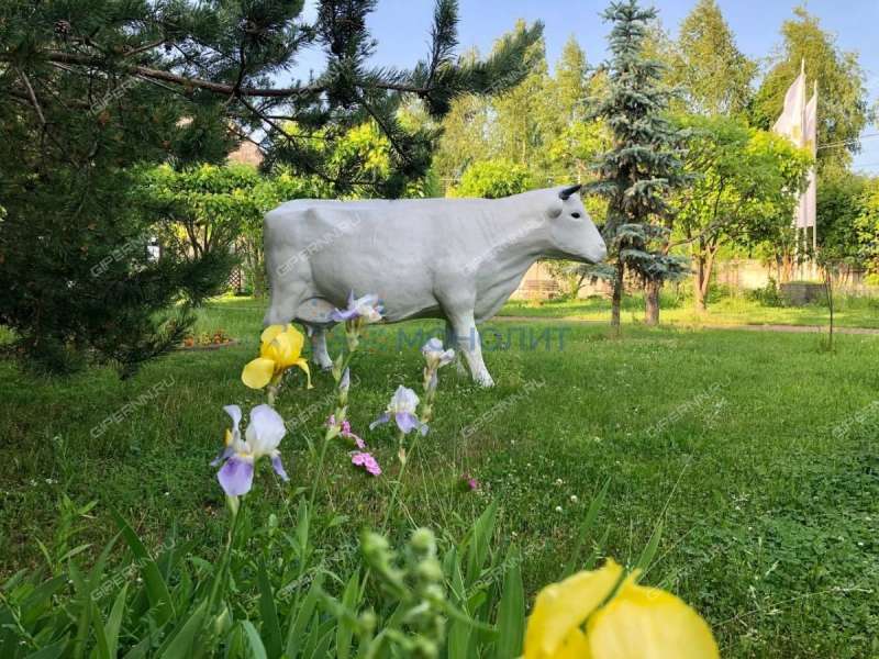 дом на улице Чешская деревня Карловы-Вары деревня Шумилово