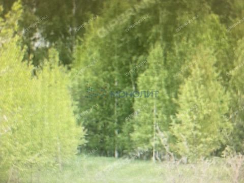 rossiya-2-derevnya-frolovskoe-ter-snt-kstovskiy-rayon фото