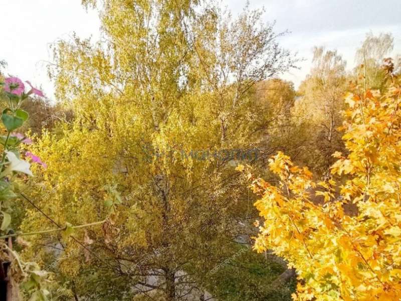 двухкомнатная квартира на проспекте Ильича дом 47