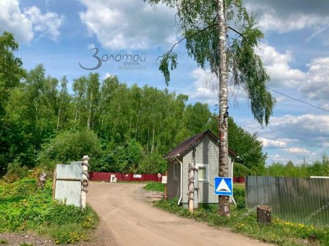 derevnya-novaya-puner-kstovskiy-rayon фото