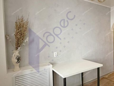 1-komnatnaya-b-r-zarechnyy-d-1 фото