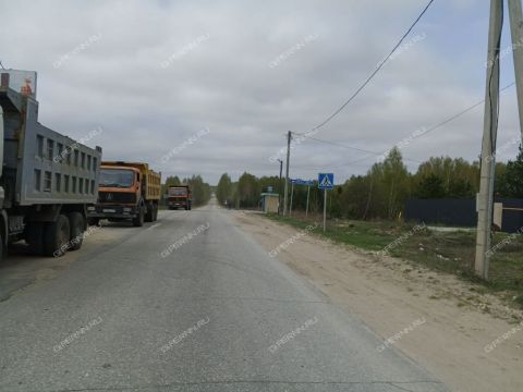 derevnya-ilinskoe-gorodskoy-okrug-bor фото
