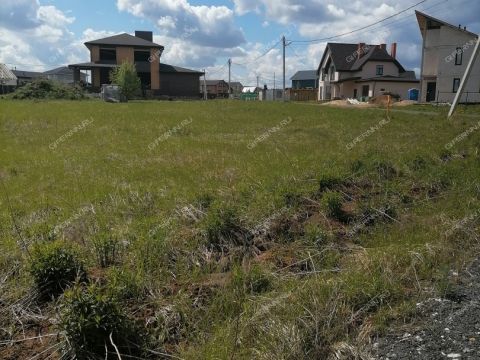 selo-efimevo-bogorodskiy-municipalnyy-okrug фото